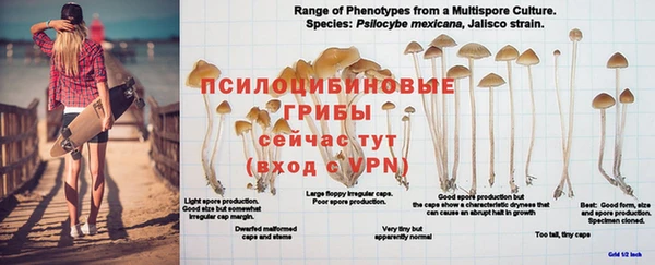 прущая мука Алзамай