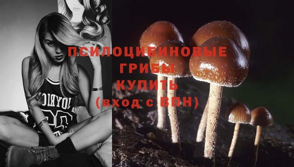 дурь Алексин