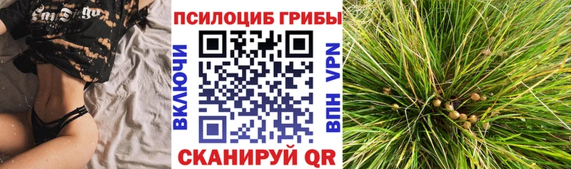 Псилоцибиновые грибы ЛСД  купить  цена  Павловская 